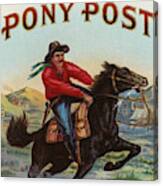Pony Post Cigar Label Canvas Print