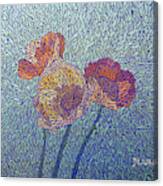 Poppies Canvas Print