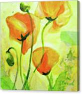Poppies For Abundance Canvas Print
