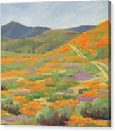 Poppin' Poppies Canvas Print