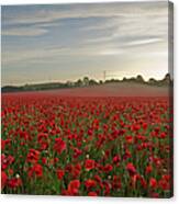 Poppy Field Canvas Print