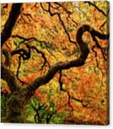 Portland Japanese Garden 10-14 3742 Canvas Print