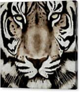 Portrait Of A Tiger Canvas Print