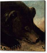 Portraits Of A Grizzly Bear And Mouse, Life Size Canvas Print