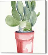 Potted Succulent I Canvas Print