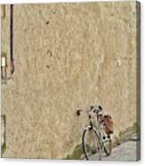 Provencial Bike Canvas Print