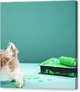 Puppy Making Green Paw Prints From Canvas Print