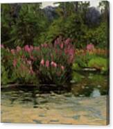 Purple Lustrife - Townsend's Pond Canvas Print