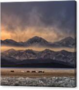 Qinghai (??) Canvas Print