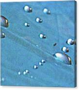 Raindrop Blues One Canvas Print