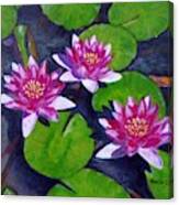 Rancho Waterlilies Canvas Print