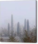 Rare Desert Fog Canvas Print