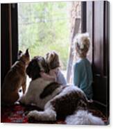 Rear View Of Sisters Sitting With Dogs At Doorway Canvas Print