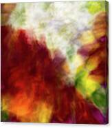 Red And White Flower Motion Abstract Canvas Print