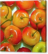 Red And Yellow Cherries On A Plate Canvas Print