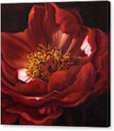 Red Peonie Macro Painting Canvas Print