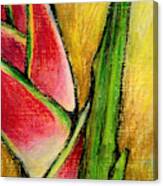 Red Heliconia Canvas Print