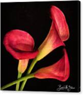 Red Lilies Trio Canvas Print