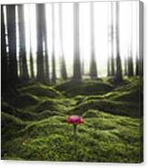 Red Mushroom In The Green Forest Canvas Print