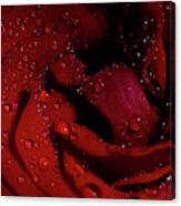 Red Rose Layers Canvas Print