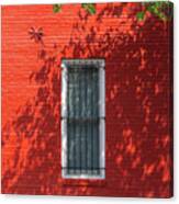 Red Shadow Canvas Print