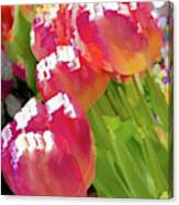 Red Tulip Flower Pastel Canvas Print