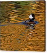 Reflecting With Hooded Merganser Canvas Print