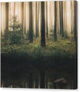 Reflection In The Foggy Forest Canvas Print