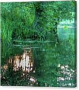 Reflections Of The Evening Sun In The Spreewald Canvas Print