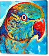 Ring-necked Parakeet Canvas Print