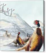 Ring Necked Pheasant Canvas Print