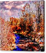 Rio Taos Bosque V Canvas Print