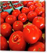 Ripe Red Jersey Tomatoes Canvas Print