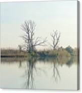 River With Tree Reflected In The Delta Canvas Print