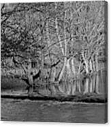 Riverside Trees - Wolfscote Dale Canvas Print