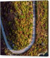 Road In The Autumn Forest Aerial View. Canvas Print