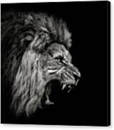 Roaring Lion #2 Canvas Print
