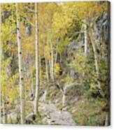 Rocky Mountain Trail Canvas Print