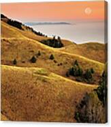 Rolling Hills Marin County Canvas Print