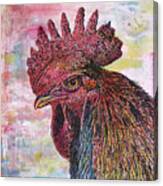 Rooster Color Canvas Print