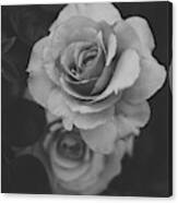 Rose In Grey Canvas Print