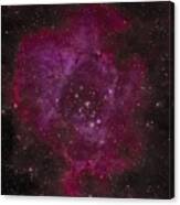 Rosette Nebula: The Cosmic Rose Canvas Print