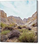Rugged Landscape In The Wilderness Of Canvas Print