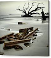 Ruins On Driftwood Beach Canvas Print