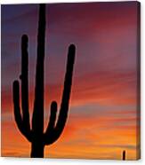Saguaro Sunrise Canvas Print