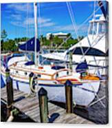 Sailboat 4167 Canvas Print