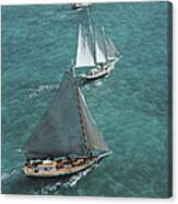Sailing In The Bahamas Canvas Print