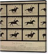 Sallie Gardner At A Gallop - Horse In Motion Canvas Print