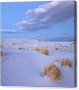 Sand Dunes, White Sands Nm, New Mexico Canvas Print