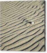 Sand Trap Canvas Print